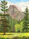 halfdome-with-trees